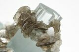 Gemmy Aquamarine Crystals with Muscovite - Skardu, Pakistan #207192-2